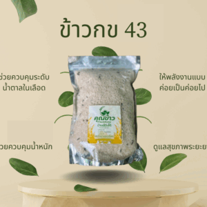 ข้าว กข 43 (Rice Khao Khao 43)